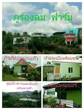 ภูร่องลม ฟาร์ม